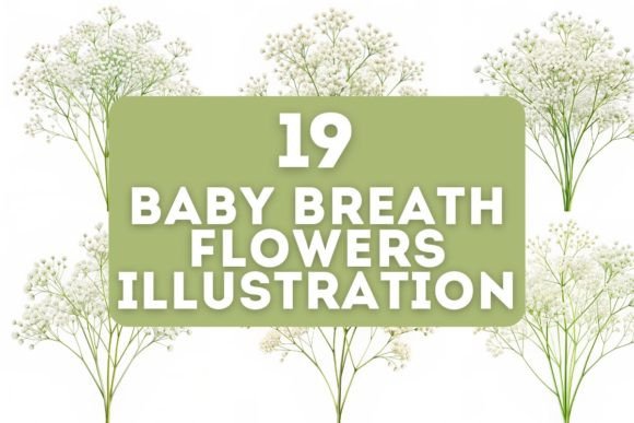 19 Baby Breath Flowers Illustration: A Delicate Collection for Creative Projects