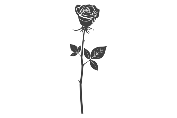 Decorative Floral Ornament Element Rose