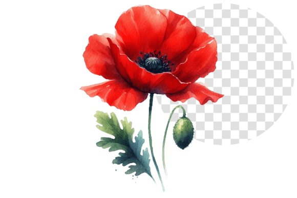 Poppify Watercolor Red Poppy Clipart