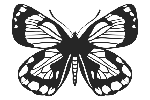 Summer Butterfly. Decorative Black Drawi