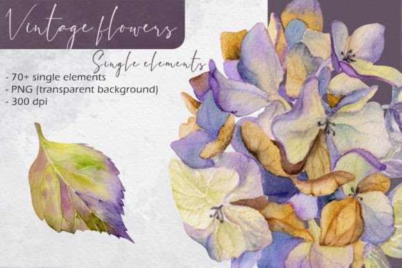 Vintage Flowers: Timeless Beauty in Handmade Watercolor Illustrations